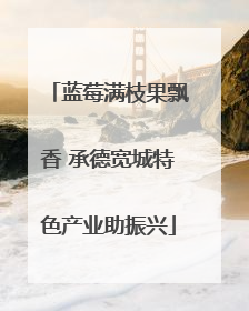 蓝莓满枝果飘香 承德宽城特色产业助振兴
