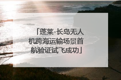 蓬莱-长岛无人机跨海运输场景首航验证试飞成功