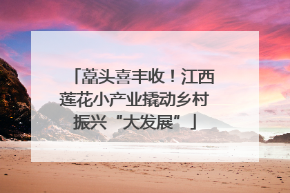 藠头喜丰收！江西莲花小产业撬动乡村振兴“大发展”