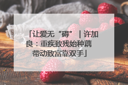 让爱无“碍”｜许加良：重疾致残始种藕 带动致富靠双手