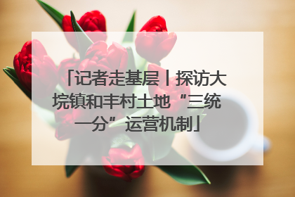 记者走基层丨探访大垸镇和丰村土地“三统一分”运营机制