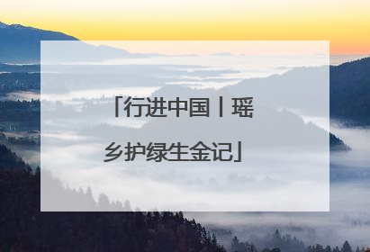行进中国丨瑶乡护绿生金记
