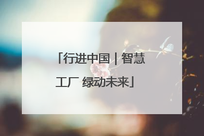 行进中国｜智慧工厂 绿动未来
