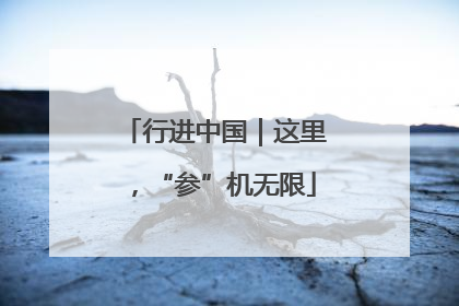 行进中国｜这里，“参”机无限
