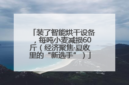装了智能烘干设备，每吨小麦减损60斤（经济聚焦·夏收里的“新选手”）