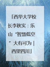 西华大学校长李秋实：乐山“智慧低空”大有可为｜西望四川