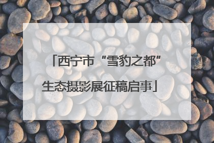 西宁市“雪豹之都”生态摄影展征稿启事