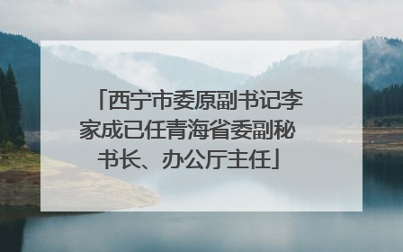西宁市委原副书记李家成已任青海省委副秘书长、办公厅主任