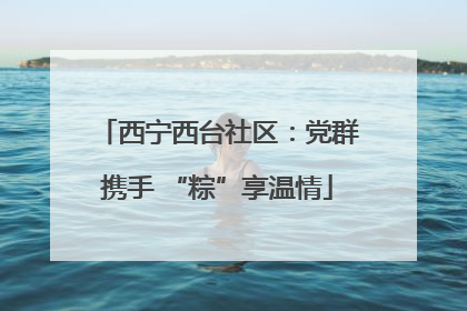 西宁西台社区：党群携手 “粽”享温情
