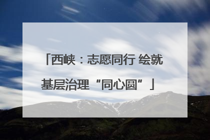 西峡：志愿同行 绘就基层治理“同心圆”