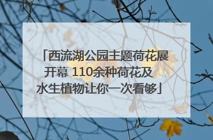 西流湖公园主题荷花展开幕 110余种荷花及水生植物让你一次看够