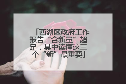 西湖区政府工作报告“含新量”超足，其中读懂这三个“新”最重要