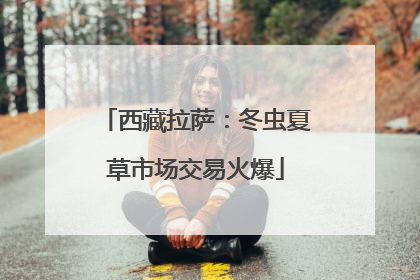 西藏拉萨：冬虫夏草市场交易火爆