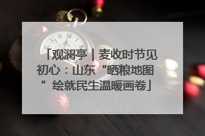 观澜亭｜麦收时节见初心：山东“晒粮地图”绘就民生温暖画卷