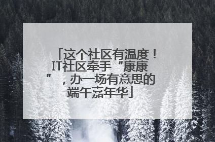 这个社区有温度！IT社区牵手“康康”，办一场有意思的端午嘉年华