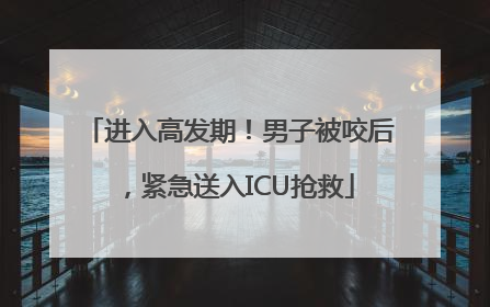 进入高发期！男子被咬后，紧急送入ICU抢救