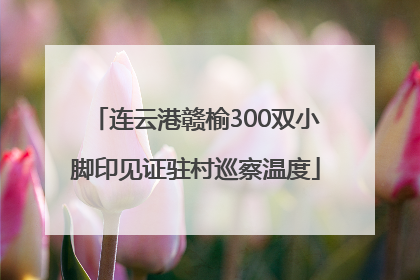 连云港赣榆300双小脚印见证驻村巡察温度