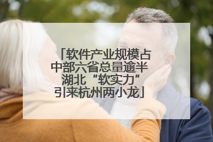 软件产业规模占中部六省总量逾半 湖北“软实力”引来杭州两小龙