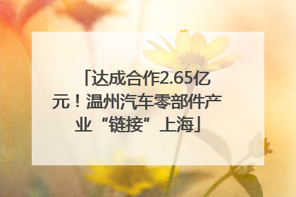 达成合作2.65亿元！温州汽车零部件产业“链接”上海