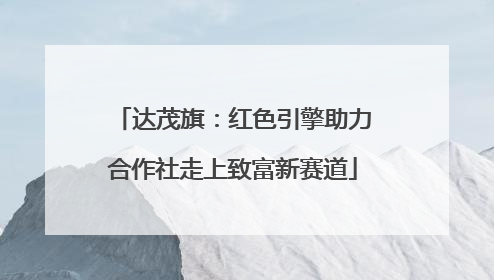 达茂旗：红色引擎助力合作社走上致富新赛道