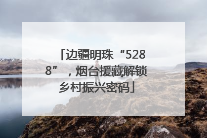 边疆明珠“5288”，烟台援藏解锁乡村振兴密码
