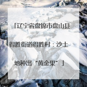 辽宁省盘锦市盘山县得胜街道得胜村：沙土地种出“黄金果”