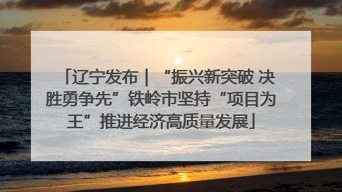 辽宁发布｜“振兴新突破 决胜勇争先”铁岭市坚持“项目为王”推进经济高质量发展