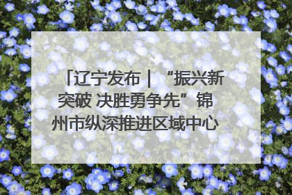 辽宁发布｜“振兴新突破 决胜勇争先”锦州市纵深推进区域中心城市建设 打造高质量发展新增长极