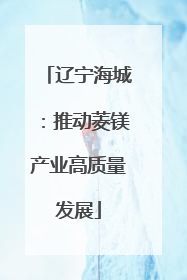 辽宁海城：推动菱镁产业高质量发展