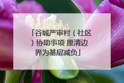 谷城严审村（社区）协助事项 厘清边界为基层减负