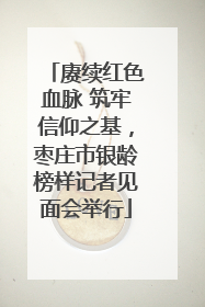 赓续红色血脉 筑牢信仰之基，枣庄市银龄榜样记者见面会举行