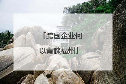 跨国企业何以青睐福州