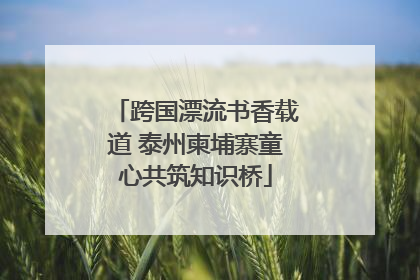 跨国漂流书香载道 泰州柬埔寨童心共筑知识桥