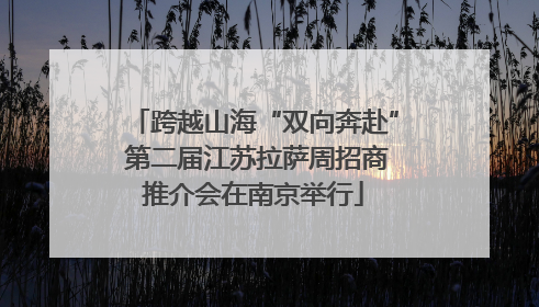 跨越山海“双向奔赴” 第二届江苏拉萨周招商推介会在南京举行