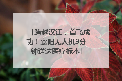 跨越汉江，首飞成功！襄阳无人机9分钟送达医疗标本