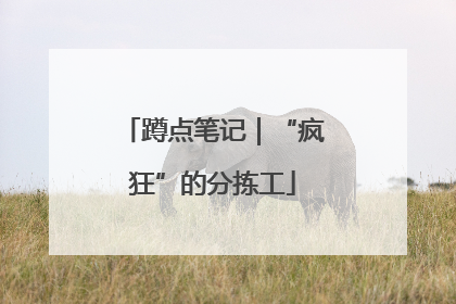 蹲点笔记｜“疯狂”的分拣工