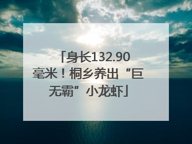 身长132.90毫米！桐乡养出“巨无霸”小龙虾