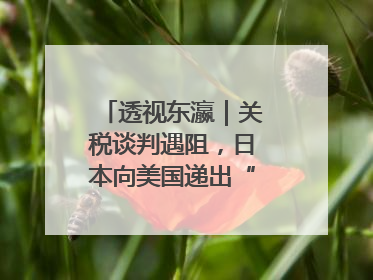 透视东瀛｜关税谈判遇阻，日本向美国递出“投名状”