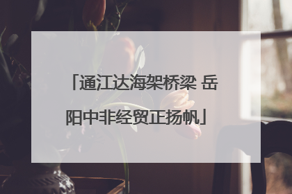 通江达海架桥梁 岳阳中非经贸正扬帆