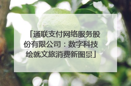 通联支付网络服务股份有限公司：数字科技绘就文旅消费新图景