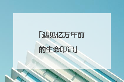 遇见亿万年前的生命印记