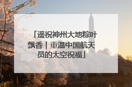 遥祝神州大地粽叶飘香｜重温中国航天员的太空祝福