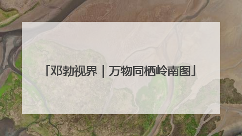 邓勃视界｜万物同栖岭南图