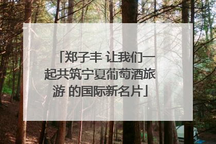 郑子丰 让我们一起共筑宁夏葡萄酒旅游 的国际新名片