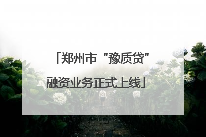 郑州市“豫质贷”融资业务正式上线