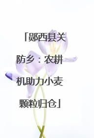 郧西县关防乡：农耕机助力小麦颗粒归仓