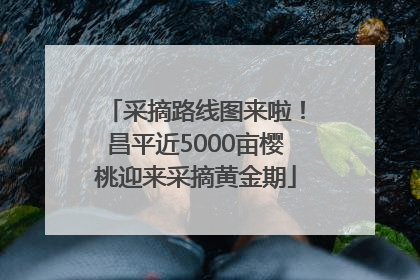 采摘路线图来啦！昌平近5000亩樱桃迎来采摘黄金期