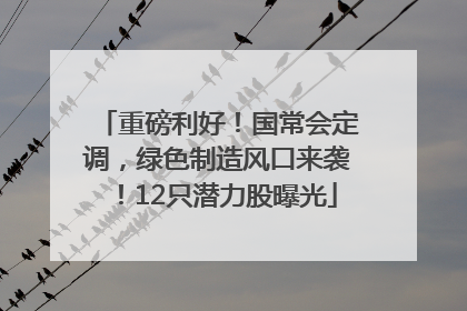 重磅利好！国常会定调，绿色制造风口来袭！12只潜力股曝光