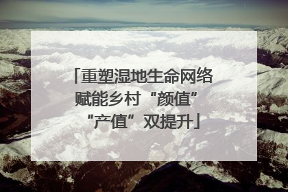 重塑湿地生命网络 赋能乡村“颜值”“产值”双提升