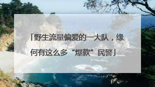 野生流量偏爱的一大队，缘何有这么多“爆款”民警